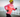 The Life-Changing Benefits of Regular Running - Prosportswear Ltd T/A RunActive