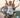 What to Wear for a Marathon: Essential Clothing for Race Day - Prosportswear Ltd T/A RunActive