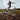 Hoka Speedgoat 7 (Women’s) - Berry Jam/Starlight Glow