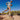 Hoka Challenger 8 Wide (Men’s) - Maple/Cardamon