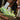 New Balance FuelCell Rebel v5 (men's) - Mint Flash