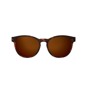 Sungod Sierras 8 KO Polarised - Matte Tortoise/Brown