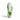 Adidas - Adidas Adistar BYD 2 (Mens) - Crystal Jade/Tech Green/Signal Green - Prosportswear Ltd T/A RunActive