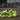Adidas - Adidas Adizero Adios Pro 4 (Womens) - Green/Lucid Lemon/Core Black/Halo Silver - Prosportswear Ltd T/A RunActive