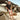 Archies - Archies Arch Support Flip Flops - Taupe - Prosportswear Ltd T/A RunActive